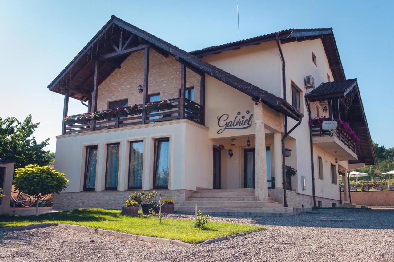 Pensiunea Gabriel Corcova Buitenkant foto